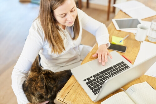 Frau arbeitet an einem Laptop am Schreibtisch mit einem Hund neben ihr deutsche Worter im Englischen skrivanek