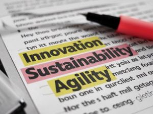 Die Worter Innovation, Sustainability, und Agility sind in einem Text hervorgehoben Buzzword skrivanek